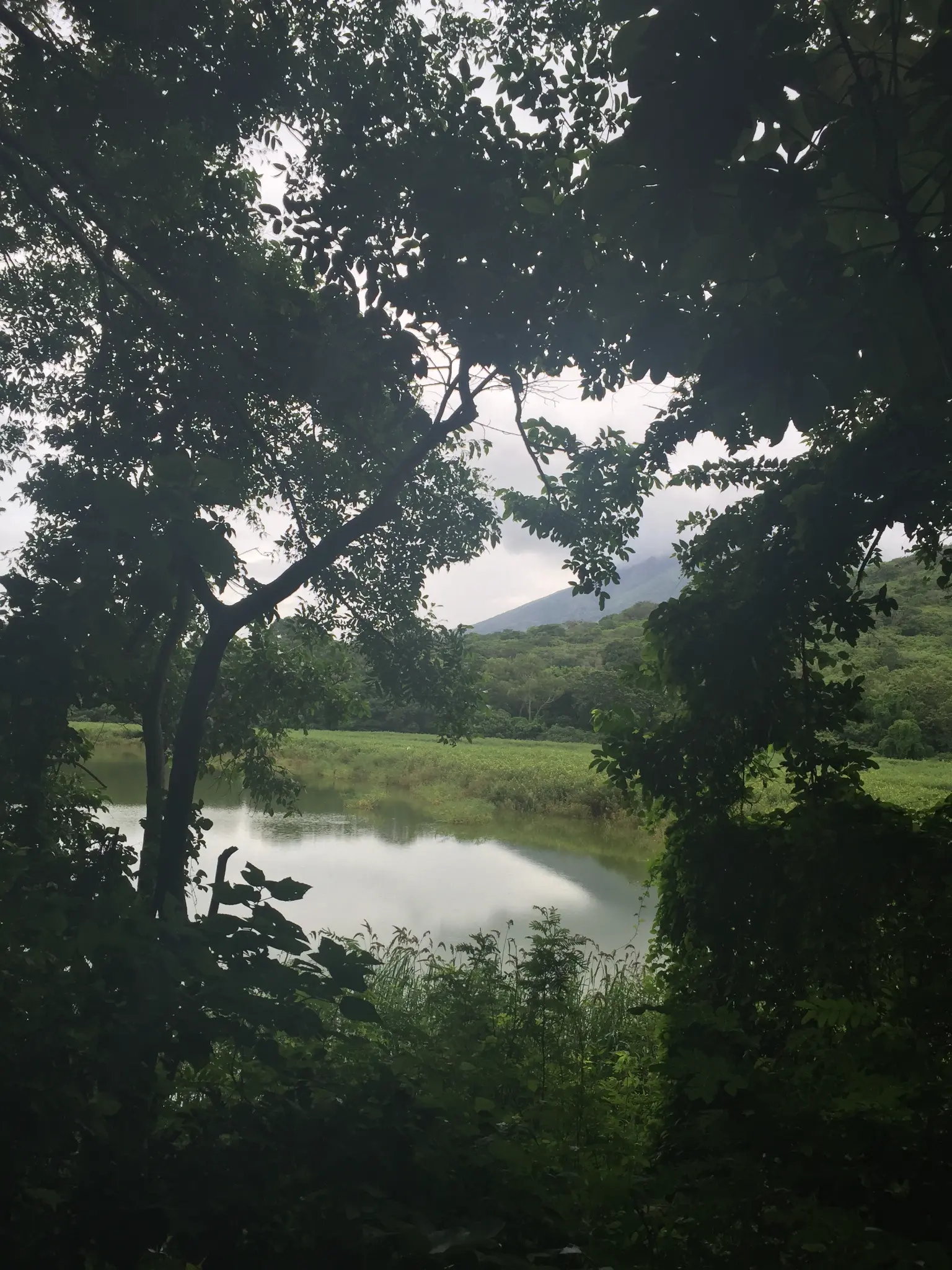 Ometepe Island Nicaragua