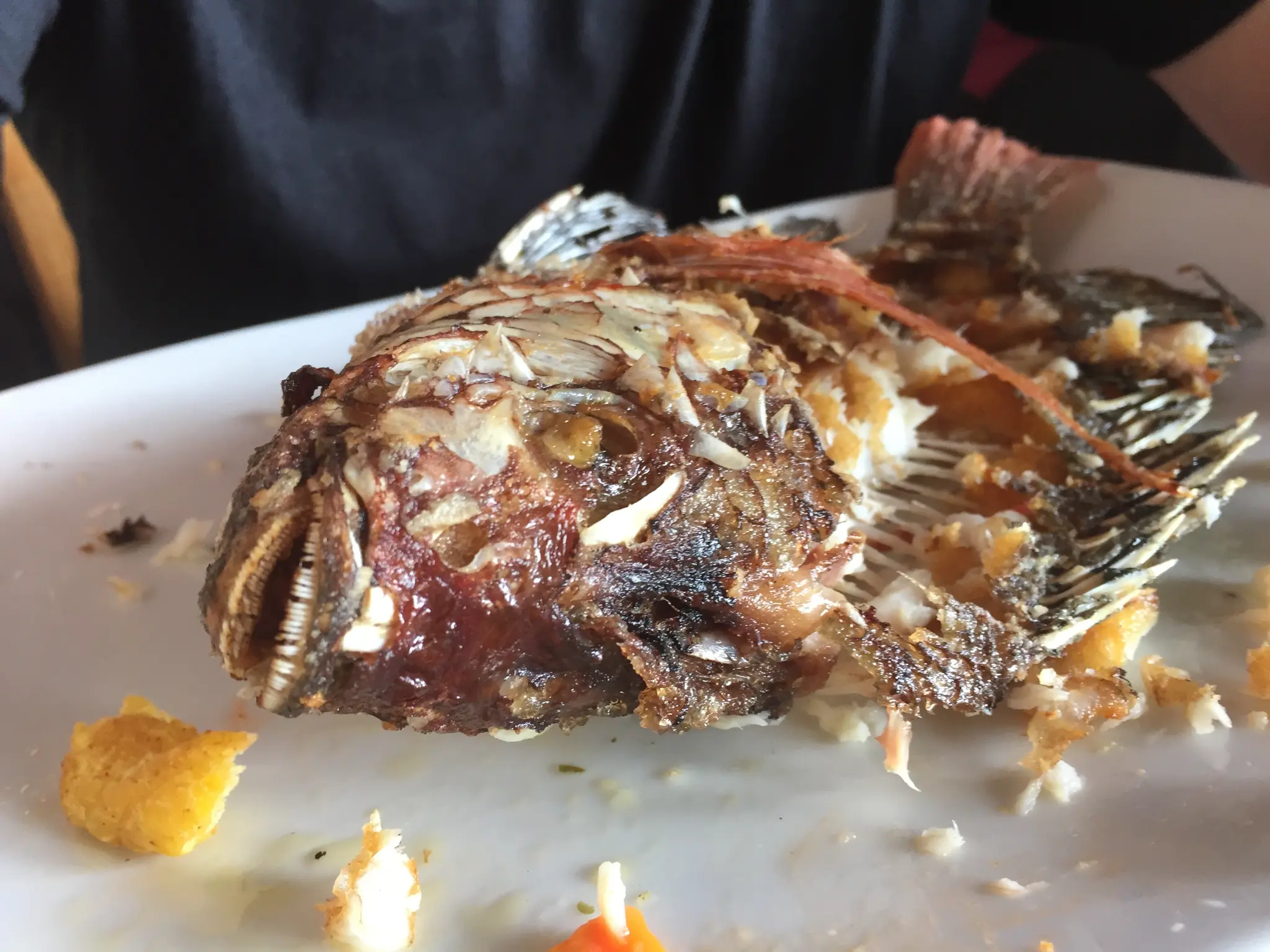 Ometepe Island Nicaragua