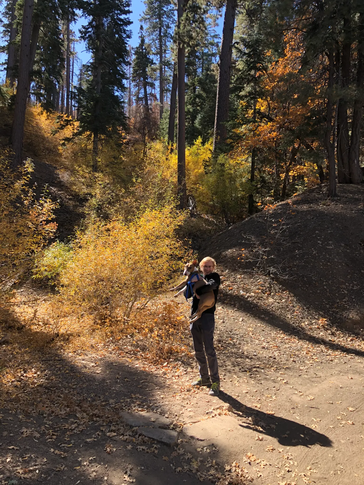 The changing of the leaves. My favorite season, Autumn. My handsome son.