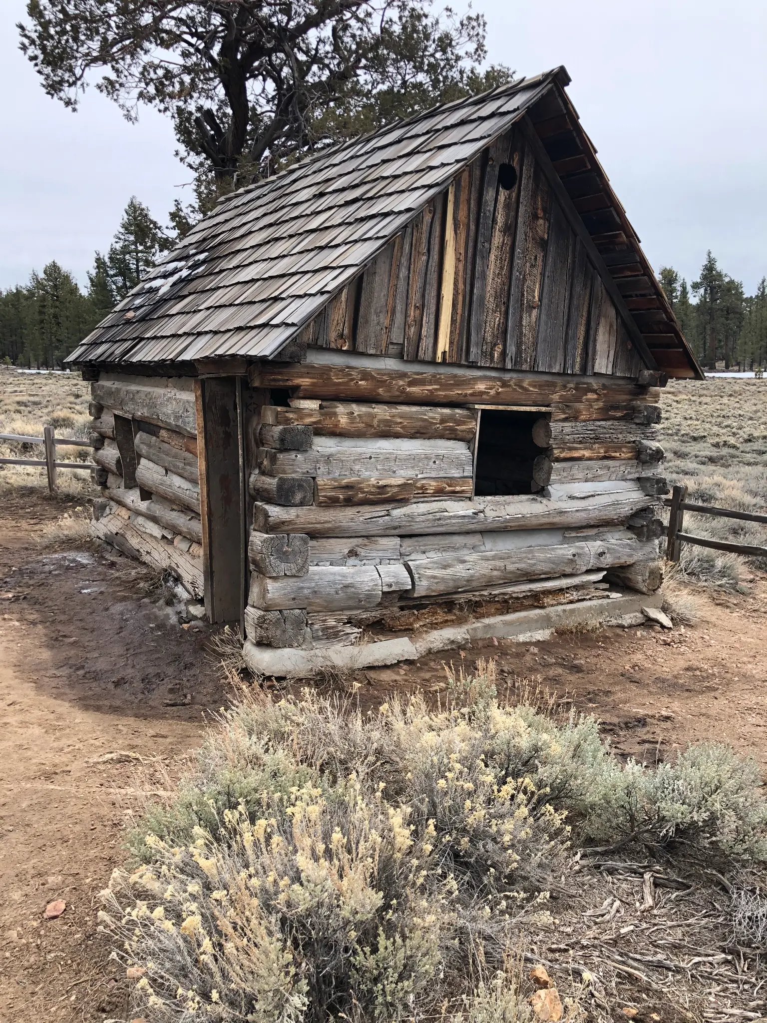 Gold Rush-era log cabin on the Pioneer Trail