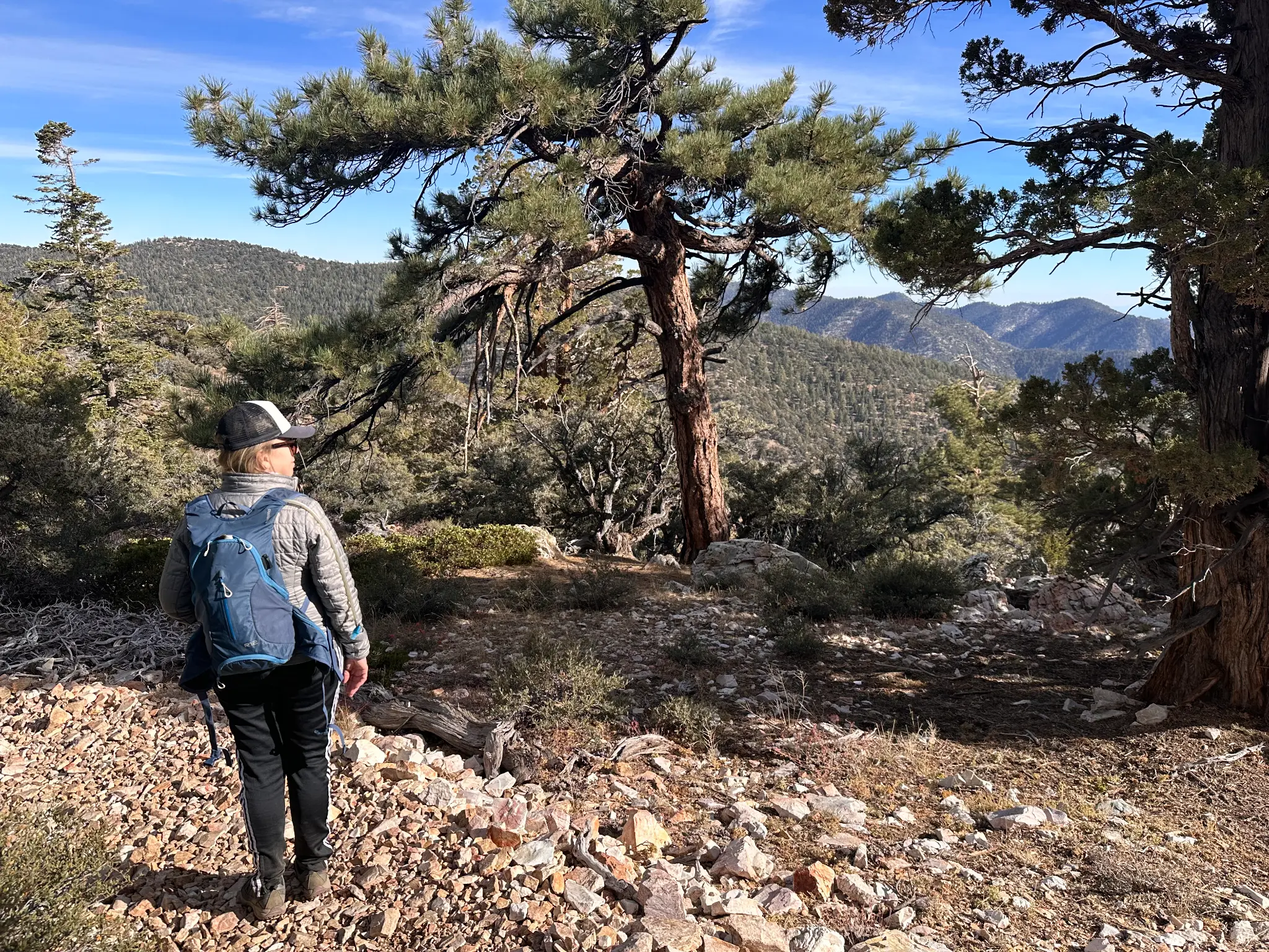 Me taking in a vista